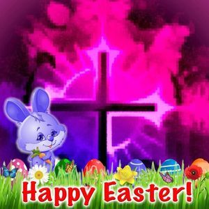 Meet your Posher, Marie